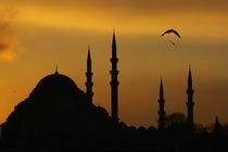 Suleymaniye Mosque by Evren Kalinbacak