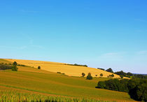 Wiesen und Felder by Wolfgang Dufner