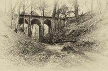 Groudle Glen Railway Bridge  Isle of Man von Julie  Callister