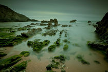 Low Tide Costa Vicentina Portugal von mark haley