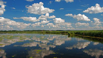 Federsee von Horst Hoch