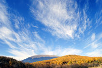 Colorful autumn landscape in the mountains  by Admir Idrizi