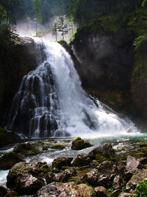 Wasserfall in den Alpen von Wolfgang Dufner