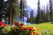 Idyllischer Bergsee Morain Lake in Kanada, Alberta von Mellieha Zacharias