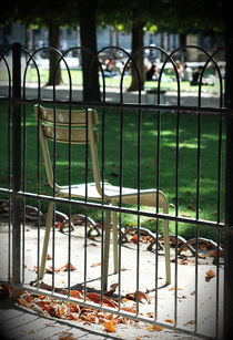 Luxembourg garden chair 1 von Katia Boitsova