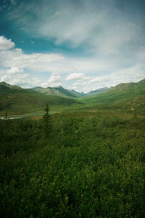 tombstone mountain by Priska  Wettstein