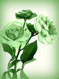 Rose (green) von Kerstin Runge