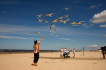 Seagulls at the beach by dreamtours