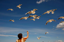 boy feeding the seagulls von dreamtours