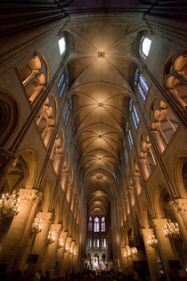 Notre Dame interior by Daniel Zrno