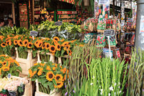 Amsterdam Flower Shop von Louise Heusinkveld