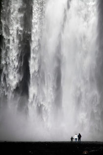 Island: Skogafoss by Nina Papiorek