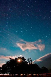The Night Sky von Buster Brown Photography