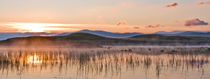 Misty Morning on Loch Ba von Buster Brown Photography