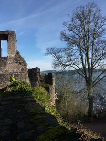 Baum auf Burg by regenbogenfloh