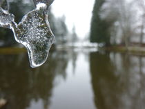 Eiszapfen von regenbogenfloh