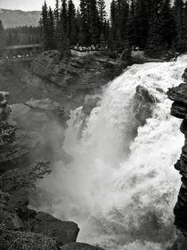 Athabasca Falls von RicardMN Photography