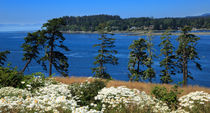 Sooke Harbour and the Strait of Juan de Fuca von Louise Heusinkveld