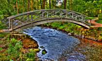 Brücke über Wildbach von Wolfgang Dufner