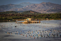 Muschelzucht vor Olbia by gfischer