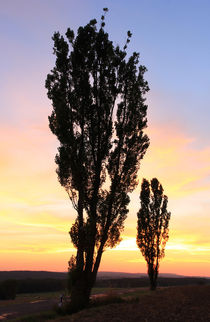 Stille Abendstunde by Wolfgang Dufner