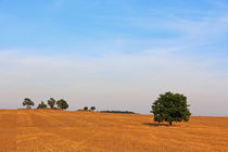 Sommerlandschaft by Wolfgang Dufner