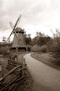 Das Dorf by Norbert Fenske