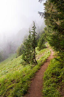 Mountain Trail