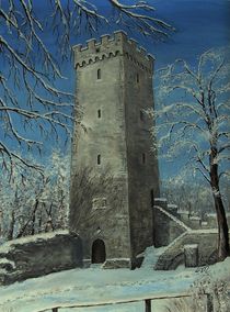 Weiler Burg by Elisabeth Maier