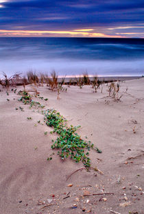 Windy sunset von Guido Montañes