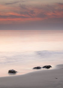 Tree sunset stones by Guido Montañes