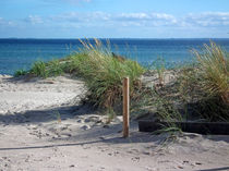 Ostsee Düne von Thomas Brandt