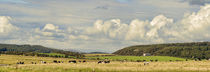 Rural Landscape Panorama. by Colin Metcalf