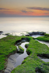 Green white a red coast by Guido Montañes