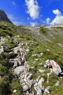 Alpenwanderung by jaybe