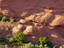 Little Towers by Peter Tomsu