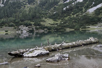 Seebensee von jaybe