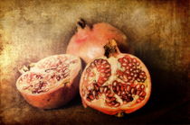 Pomegranates by Pauline Fowler
