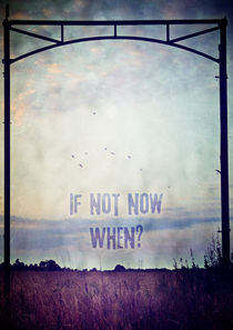 If not now. when? von Sybille Sterk