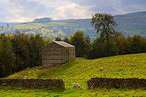 The Old Stone Barn by Louise Heusinkveld