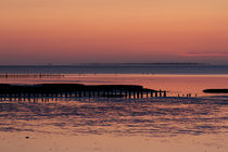 Tag am Meer by Michaela Rau