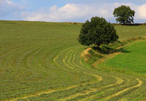 Spätsommer by Wolfgang Dufner