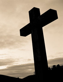 The Cross by Lars Hallstrom