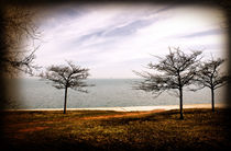 Spring by the lake by Milena Ilieva