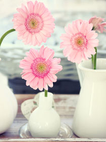 Pink Gerbera Stilllife von syoung-photography