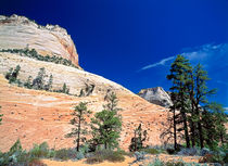 Red White Rock von Peter Tomsu