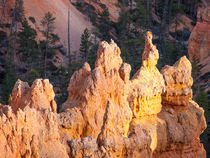 Bryce Evening by Peter Tomsu