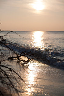 Abend am Meer by Anne-Barbara Bernhard