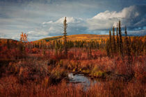 autumn colors von Priska  Wettstein