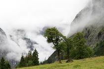 Spätsommer von jaybe